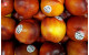Étiquettes pour Fruits - Autocollants Étanches