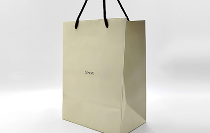 Premium Product Hand Carry Bag - Brand Watch Paper Bag