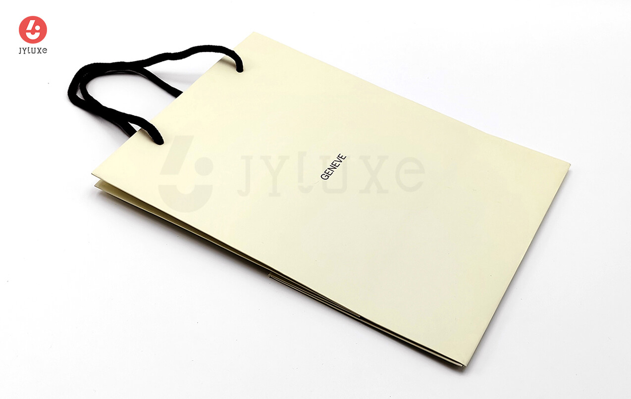 Premium Product Hand Carry Bag - Brand Watch Paper Bag
