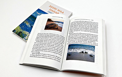 Impression de Brochures à Reliure Collée - Livres