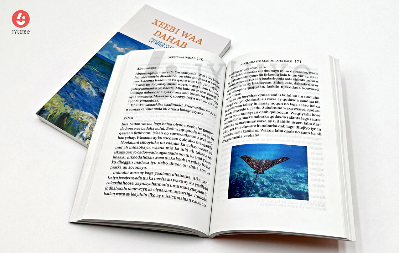 Druck von Klebebroschüren - Bücher