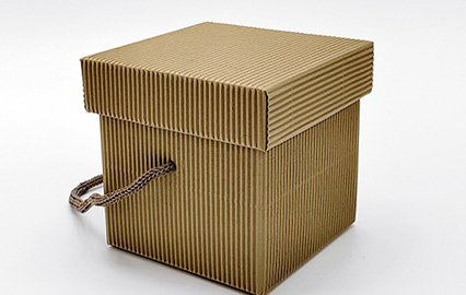 Boîte Rigide avec Poignée en Carton Ondulé