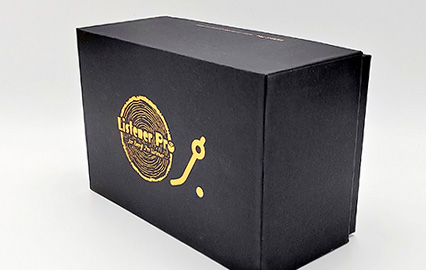 High-Quality Music Speaker Rigid Box