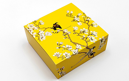 Custom Color Box Printing - Paperboard Packaging Box