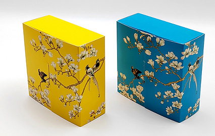 Custom Color Box Printing - Paperboard Packaging Box